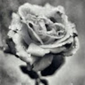 Meet your Posher, Kassandra